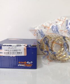 Alternative view of دنده برنجی پیکان دیناپارت