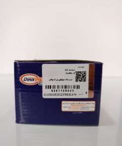 درب باک سوئیچی بزرگ پیکان دیناپارت