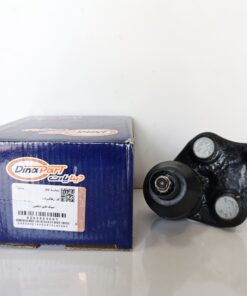 Alternative view of سیبک طبق شاهین دیناپارت