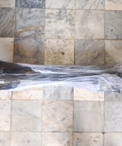 Alternative view of رام موتور پیکان دیناپارت