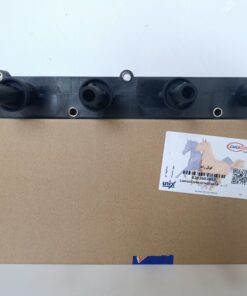 Alternative view of کوئل رانا دیناپارت